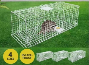 Animal Cage Trap